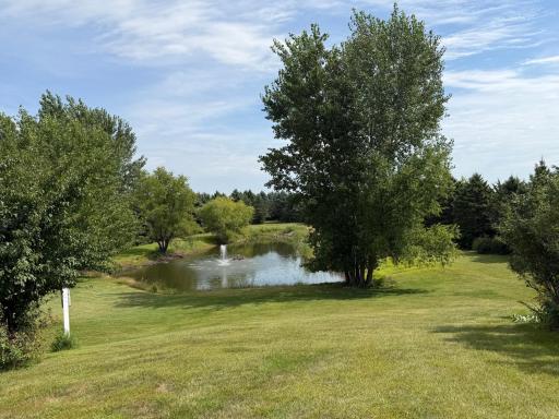 2nd pond view from hill.jpeg