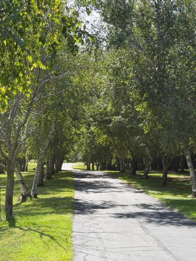 Driveway looking to the street.jpeg