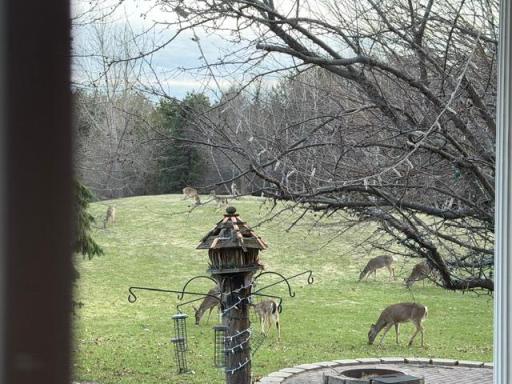 Visitors.jpeg