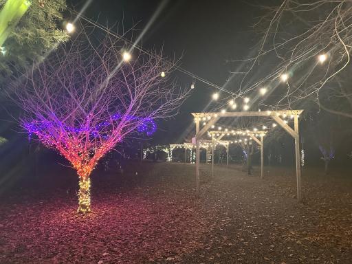 Path to gazebo at night.jpeg