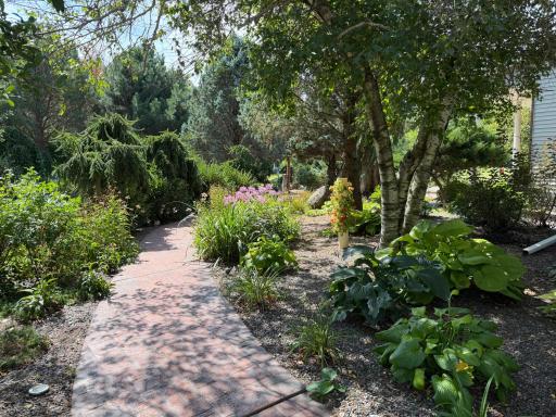 Path to the entrance.jpeg