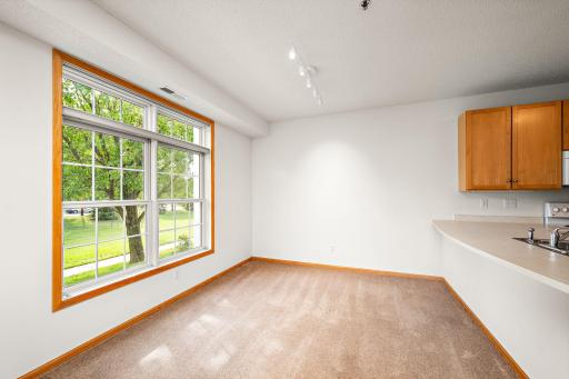2100 Old School Road, 102, Mound, MN 55364