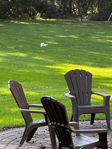 Heres something you don't find everywhere, an albino squirrel that calls this place home too along with a wide array of other wildlife.