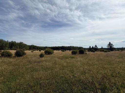TBD County Rd 31, Northome, MN 56661