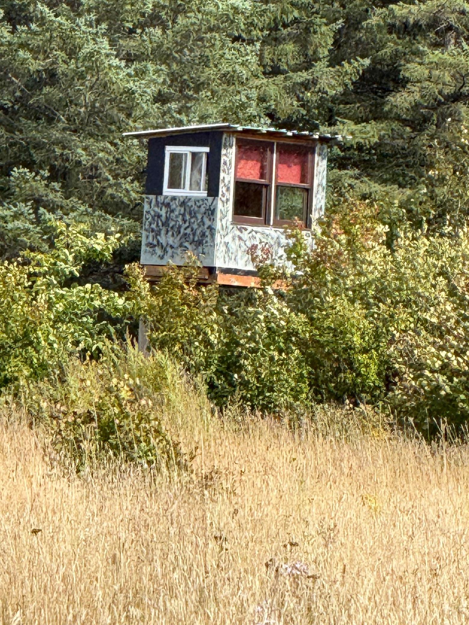 IMG_5344.jpeg