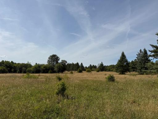 TBD County Rd 31, Northome, MN 56661