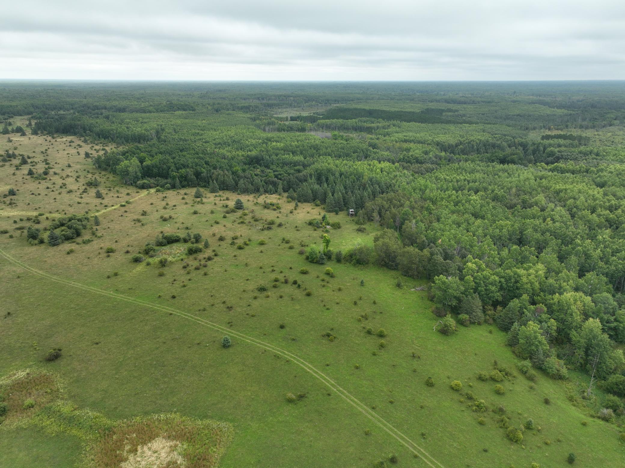 DJI_0212.JPG