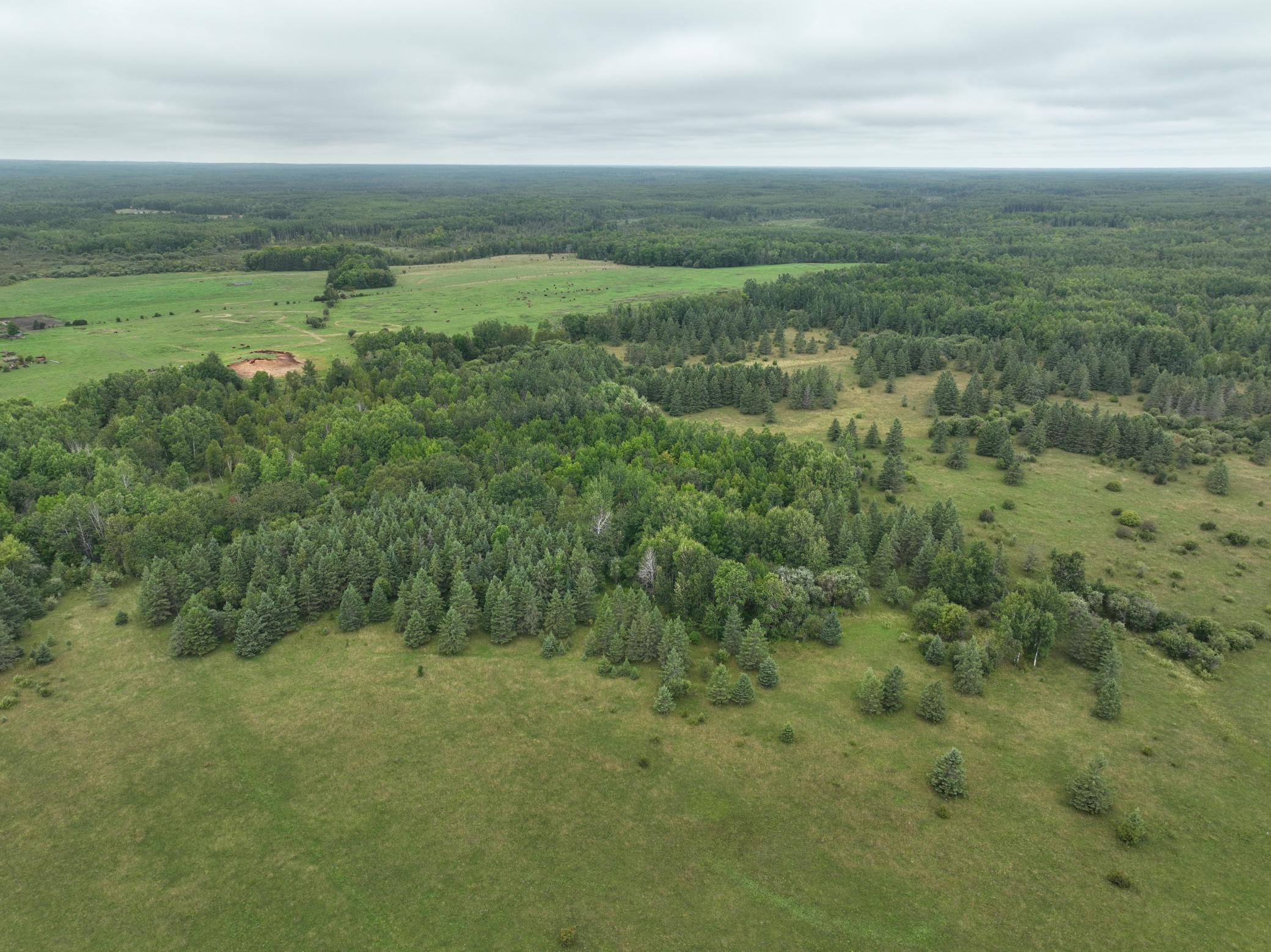 DJI_0215.JPG