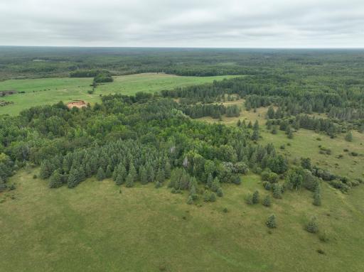 TBD County Rd 31, Northome, MN 56661