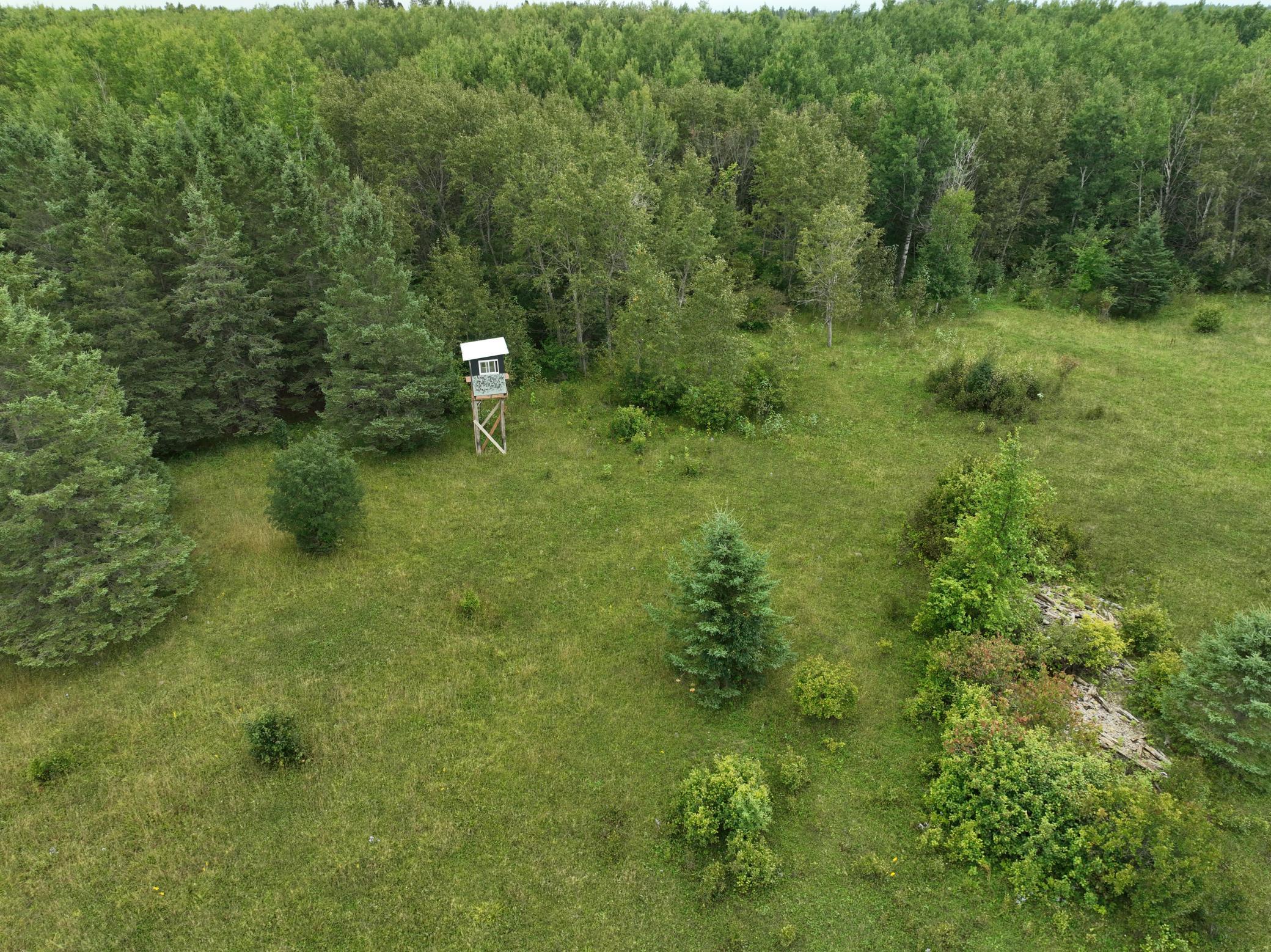 DJI_0219.JPG