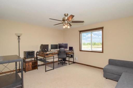 Lower Level Bedroom