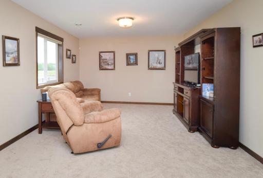 Lower Level Family Room