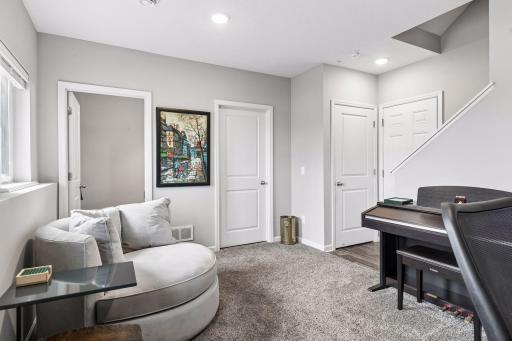 Lower Level Living Space