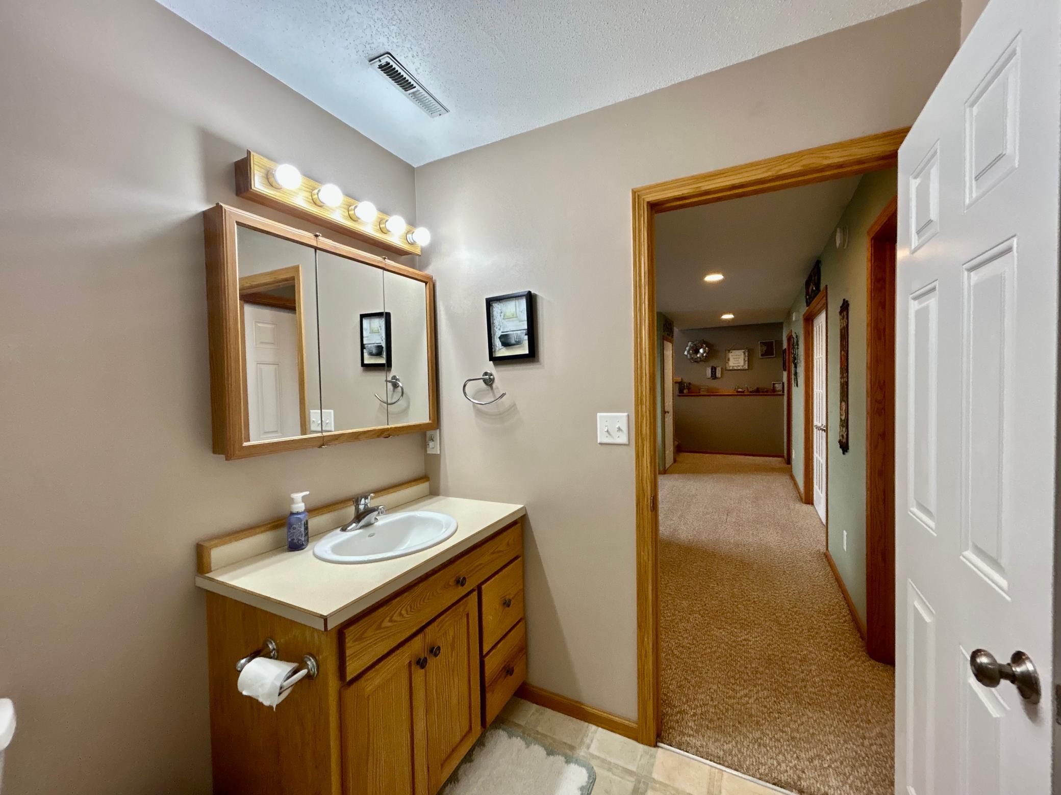 Bathroom 2 Basement