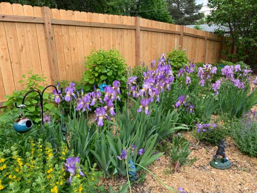 10019 Fremont Avenue S, Bloomington, MN 55431