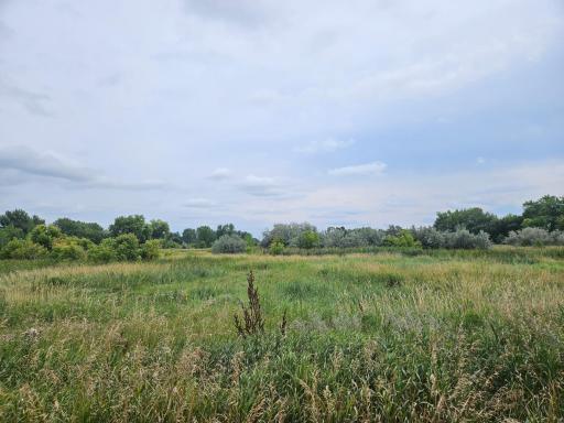 BEAUTIFUL grassland
