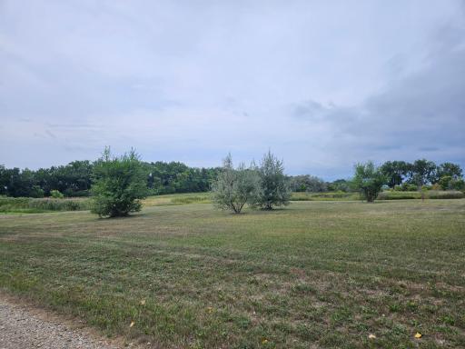 View Southwest from Lincoln St.