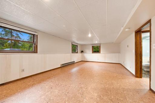 Recreation room - lower level