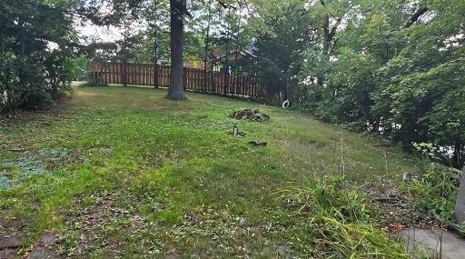 Yard with parking area
