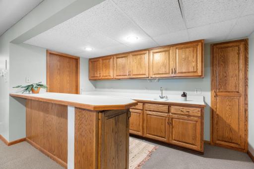 60-web-or-mls-525 Park Ln-60.jpg