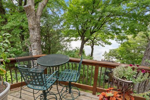 5-web-or-mls-525 Park Ln-5.jpg