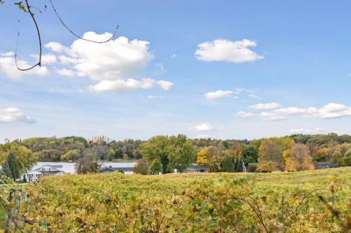8775 Airport Road, Waconia, MN 55387
