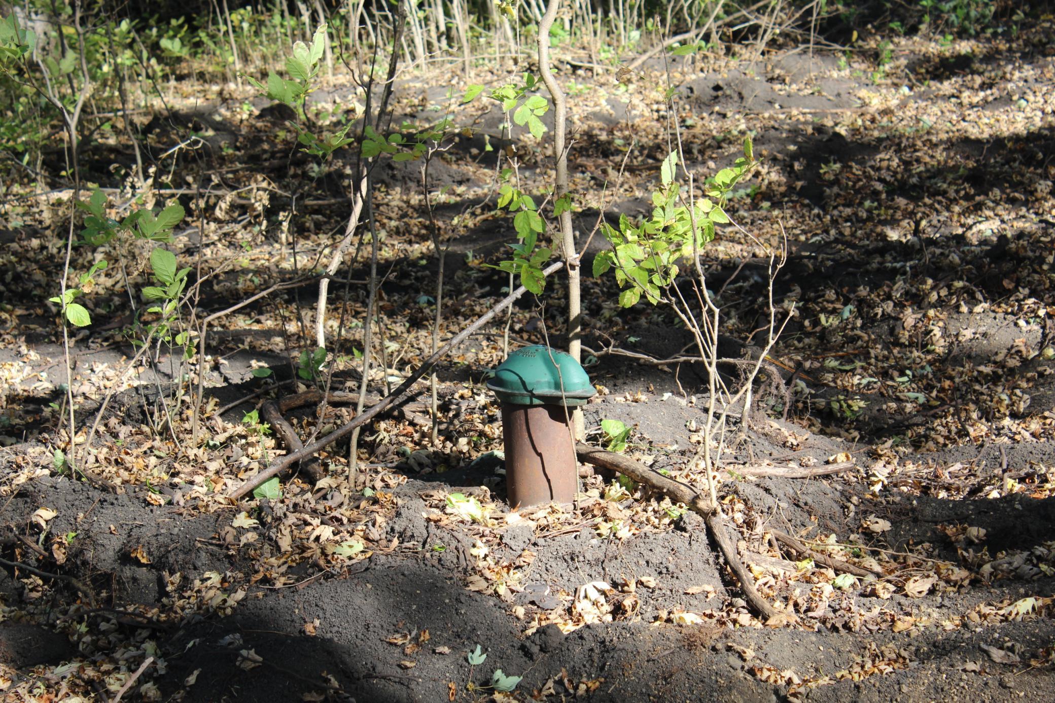 There is a well on the north tree line of the property, currently marked by a white flag.