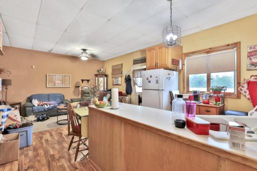 Lower level Family Room open to 2nd kitchen