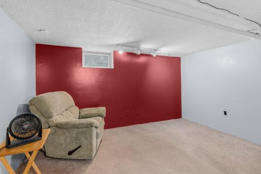Lower level offers additional space to hang out with friends, play area or maybe exercise room