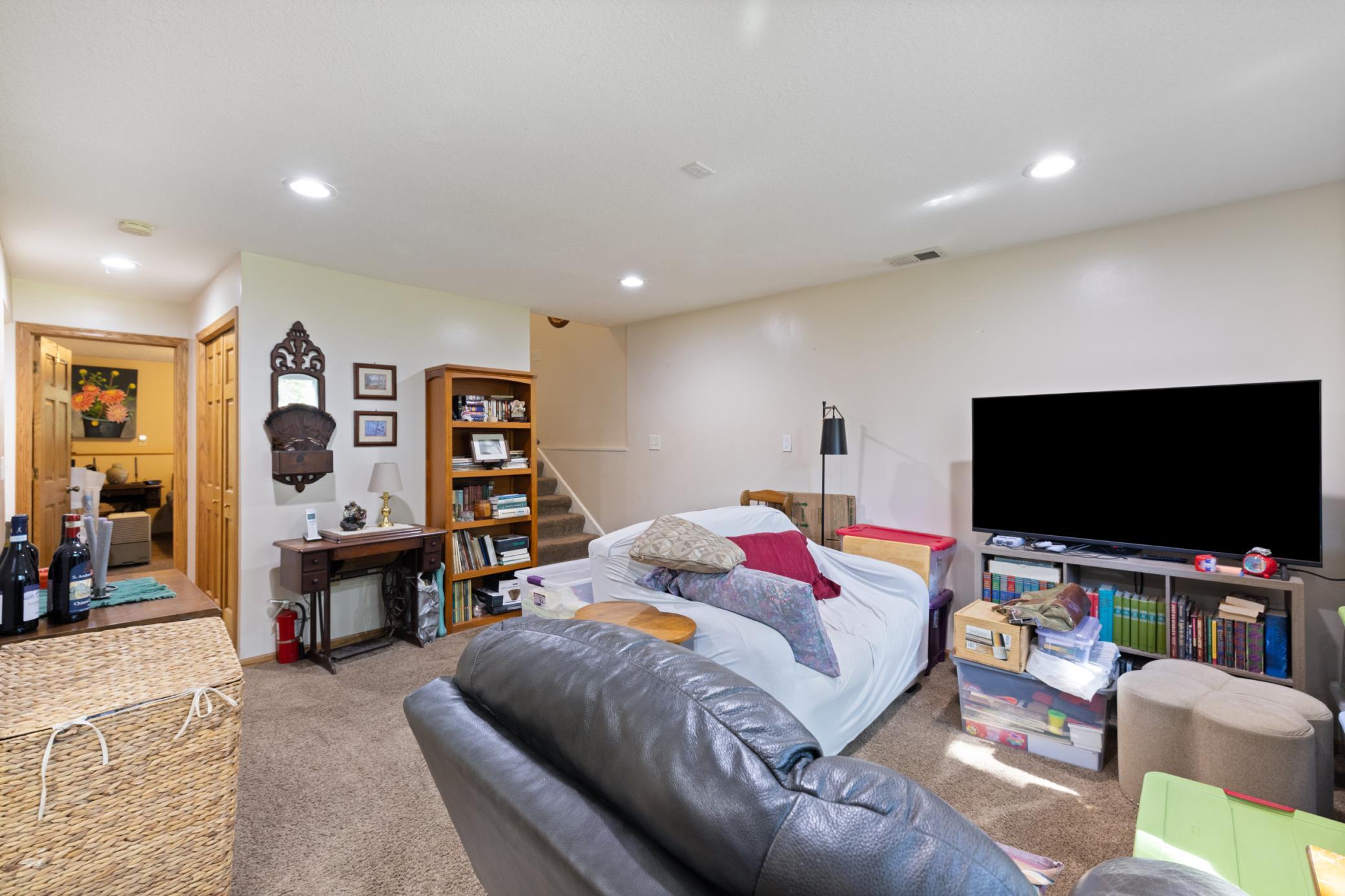 Lower level family room