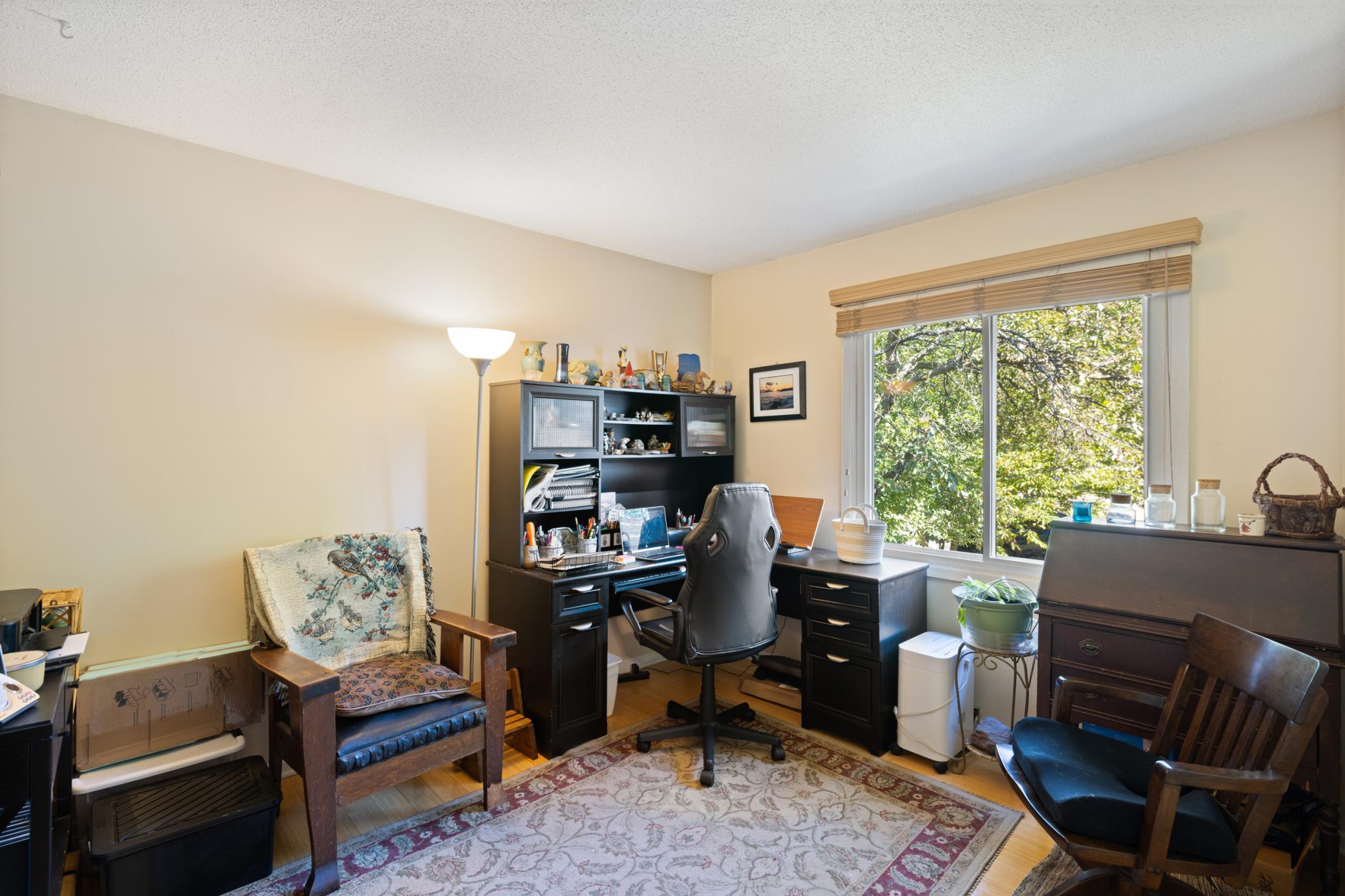 Lower level office / Bedroom
