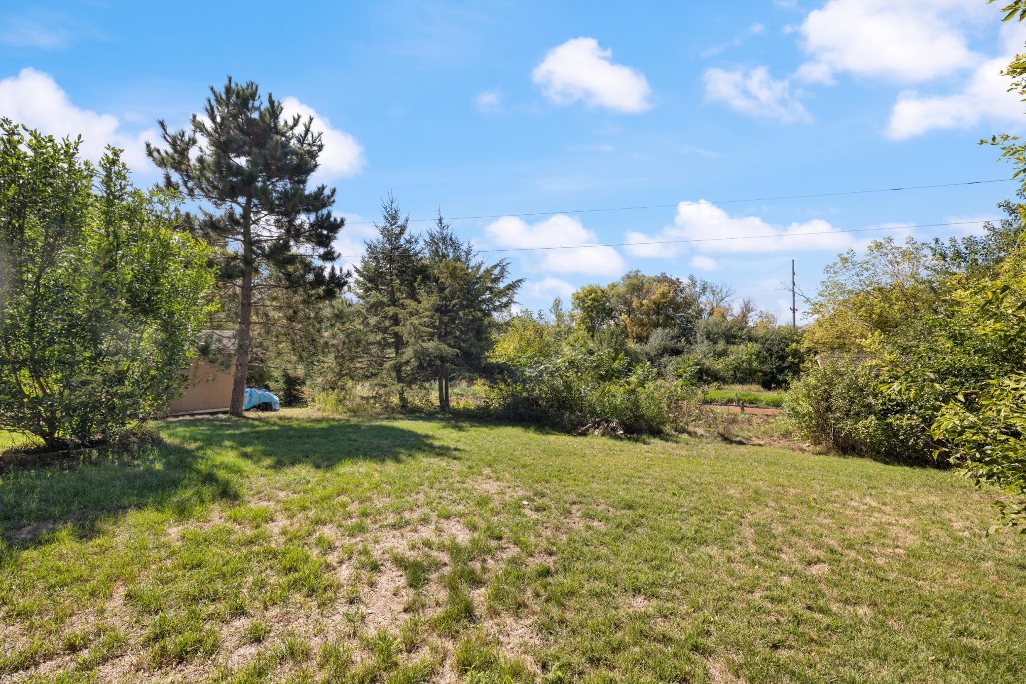 Back yard