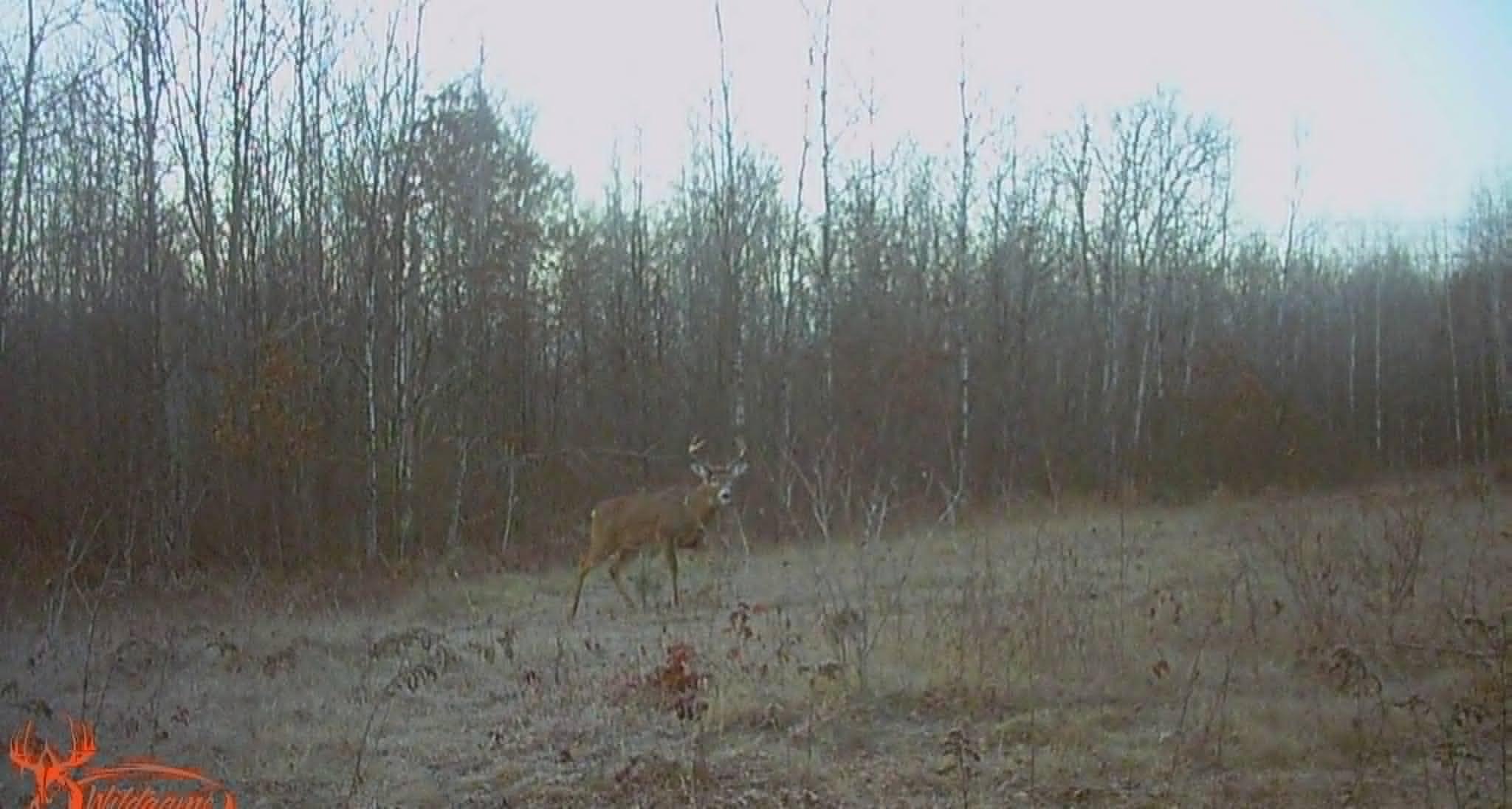 buck highline.jpg