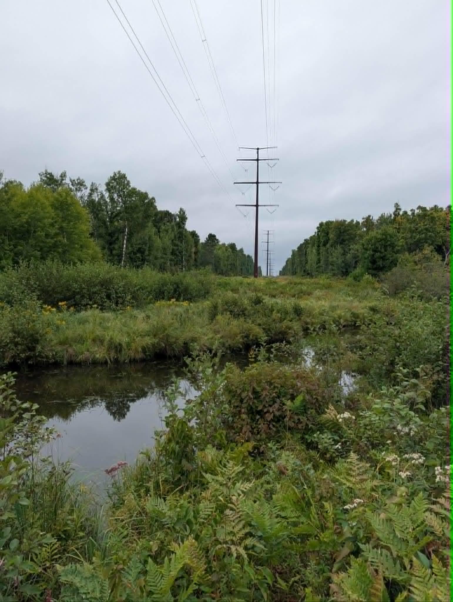 highline creek.jpg