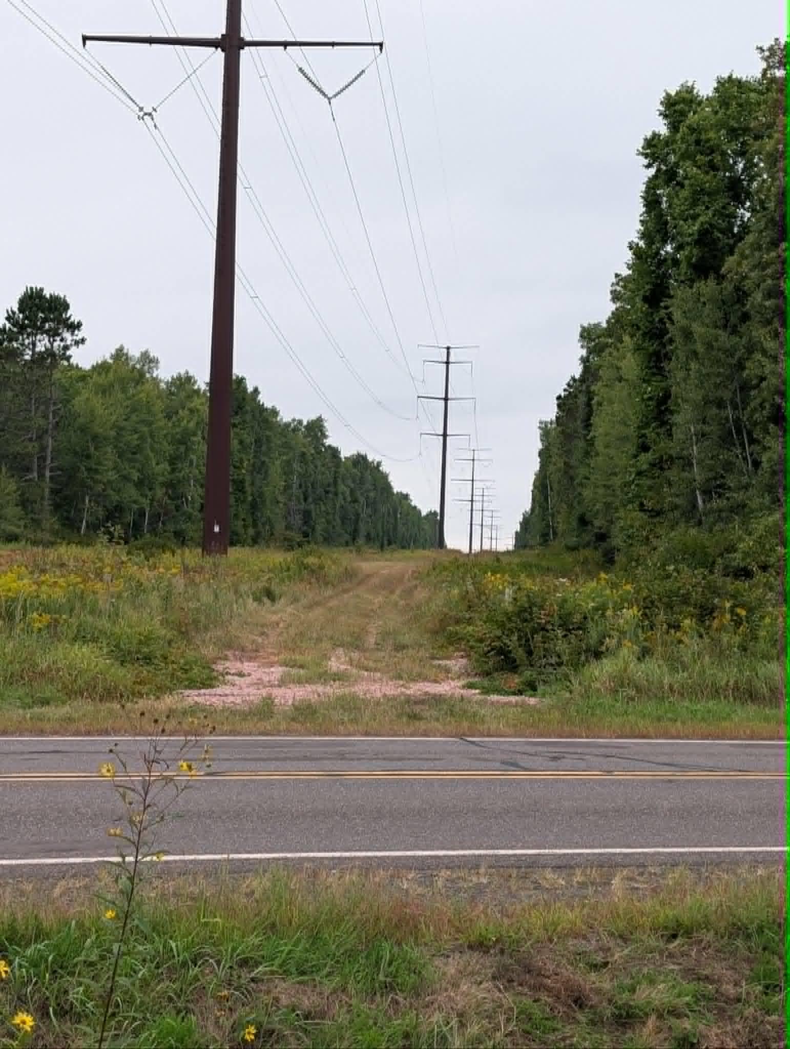 driveway.jpg