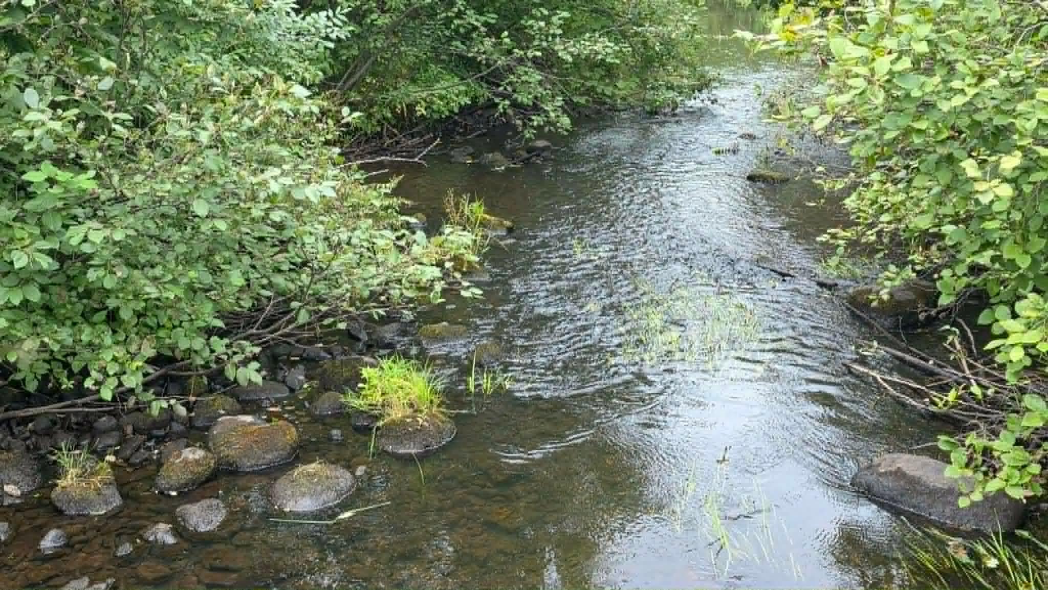 creek rocks.jpg