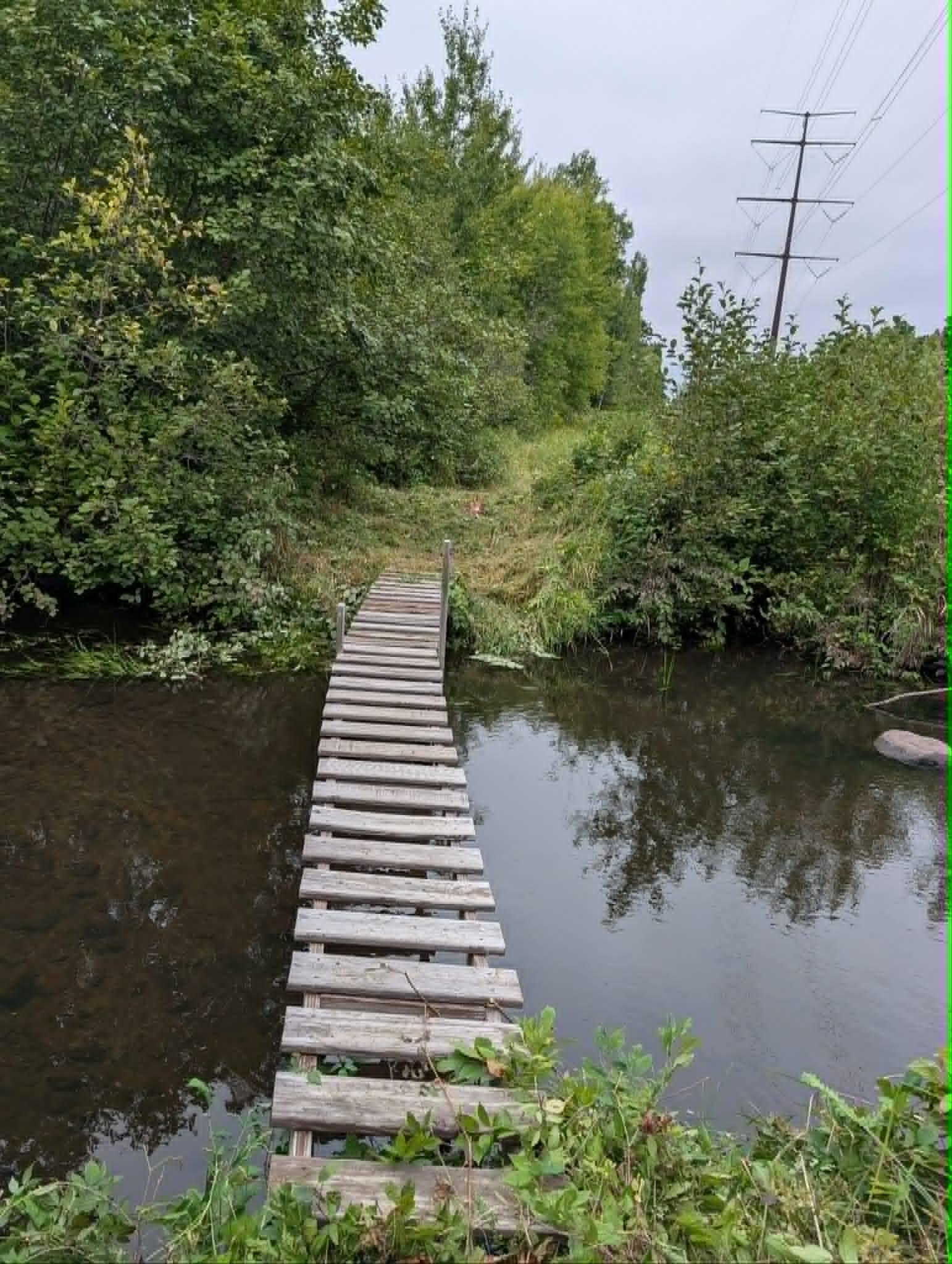 bridge.jpg