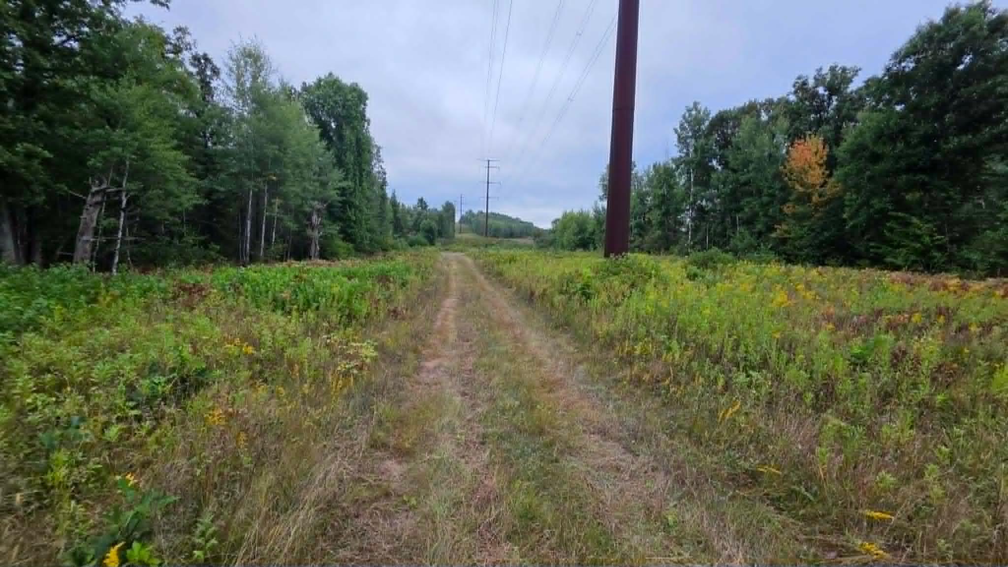trail.jpg