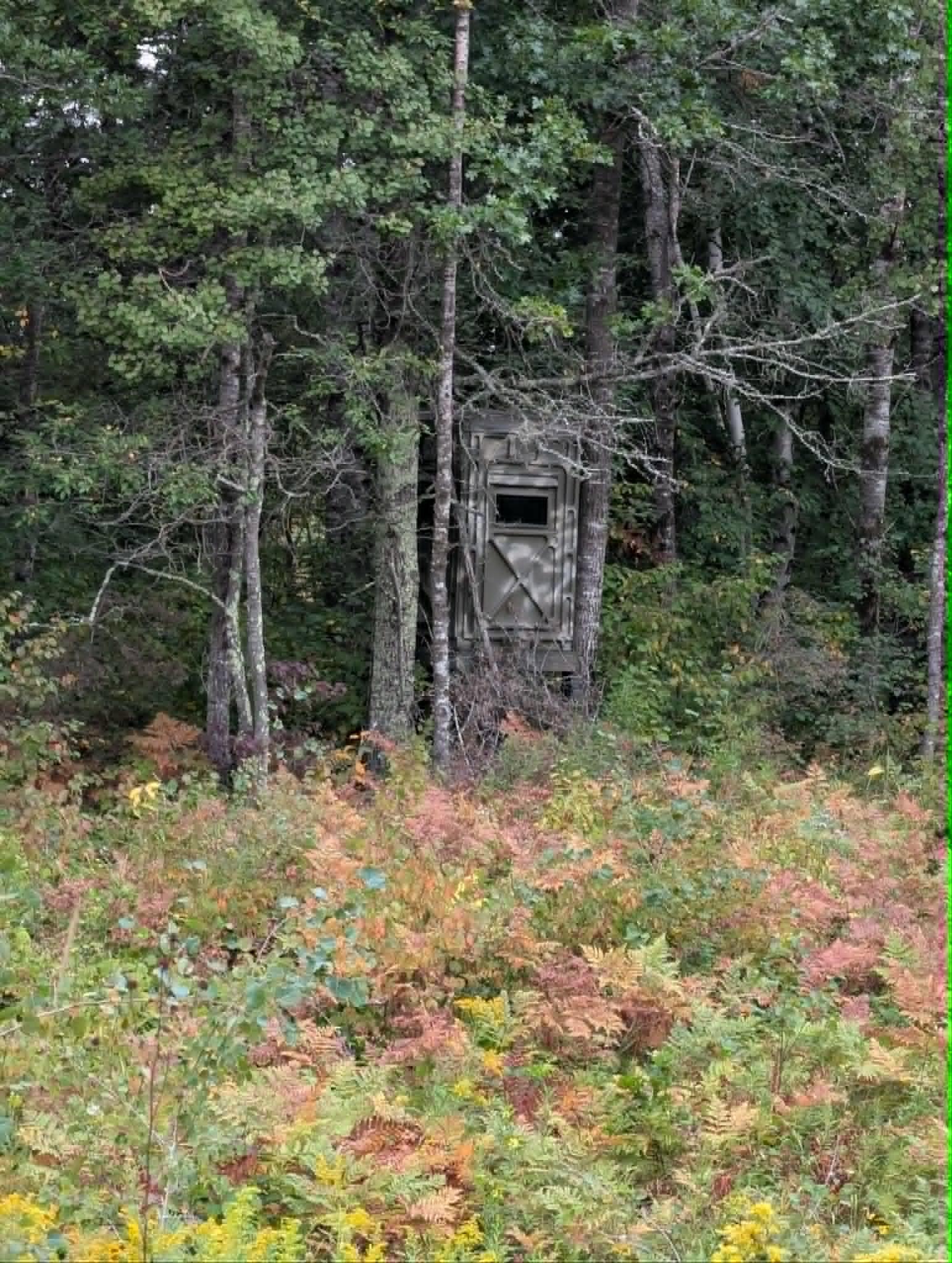 box blind.jpg