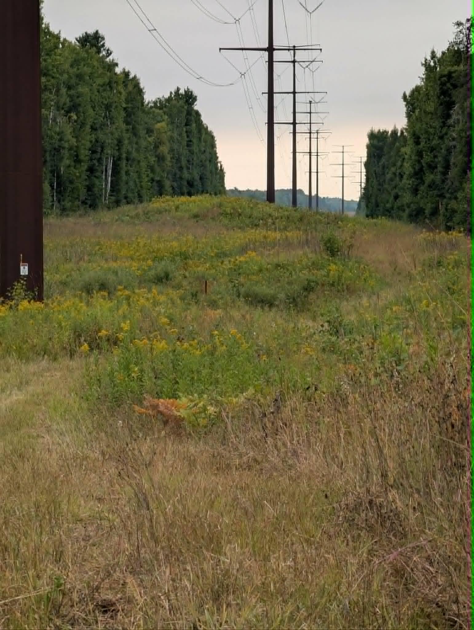 highline.jpg