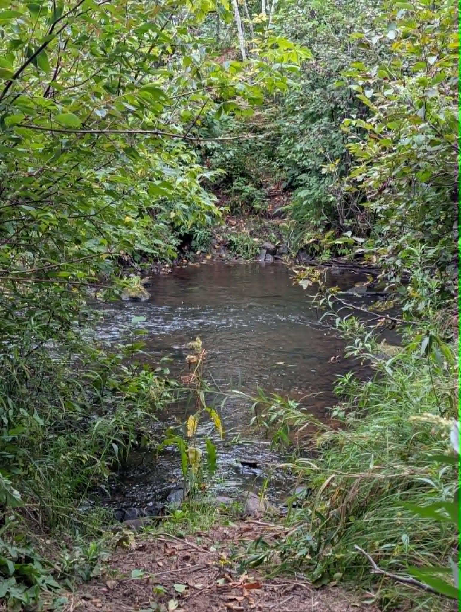 more creek.jpg
