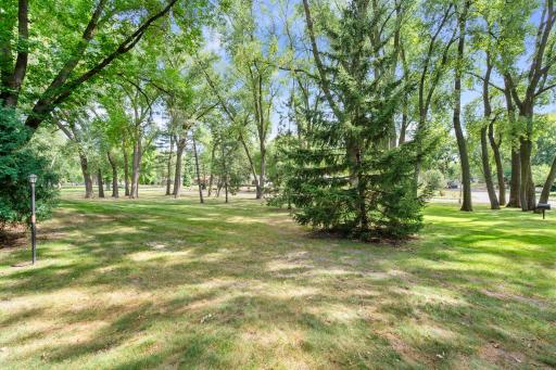 Beautiful park for this complex. A very quiet, serene setting