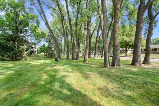 Yard at the complet has lots of outdoor space for picnics and play. Truly a uniquely, park-like setting for a complex.