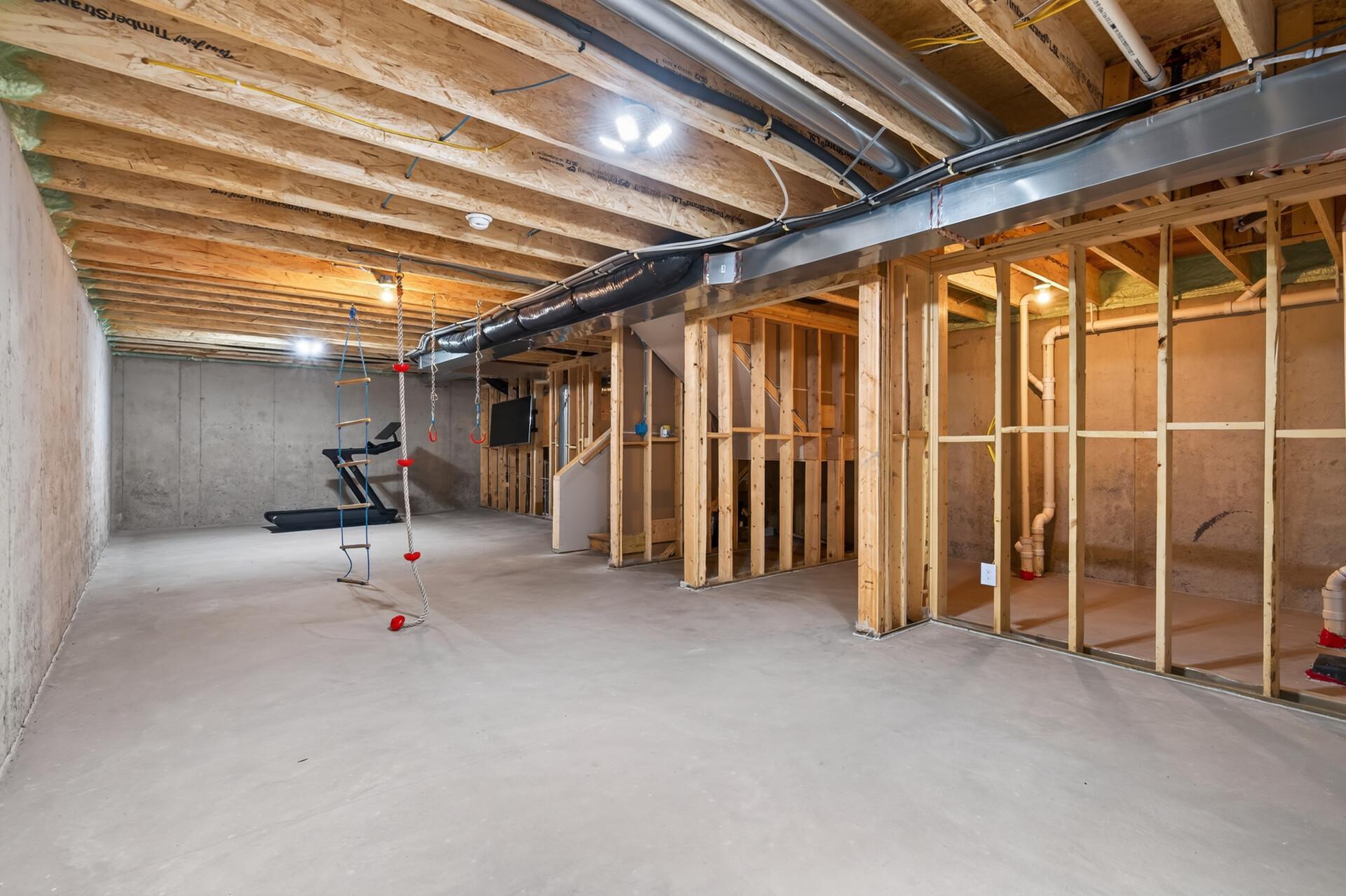 Unfinished Basement