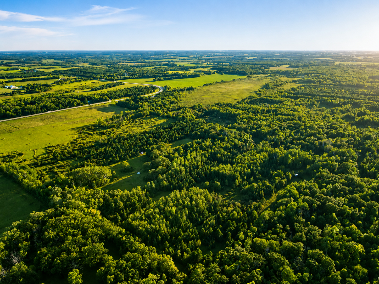 Property photo for TBD Co Hwy 56, New York Mills, MN 56567