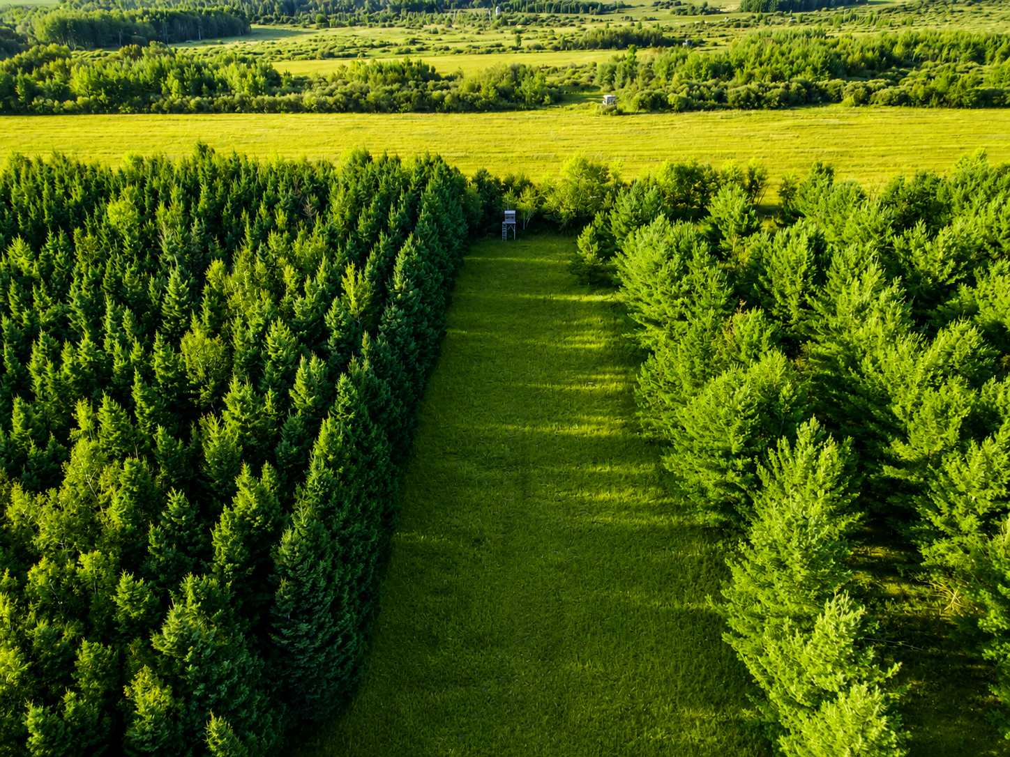 CB230F4F-B780-4C04-A113-2FD4B58176BB.PNG