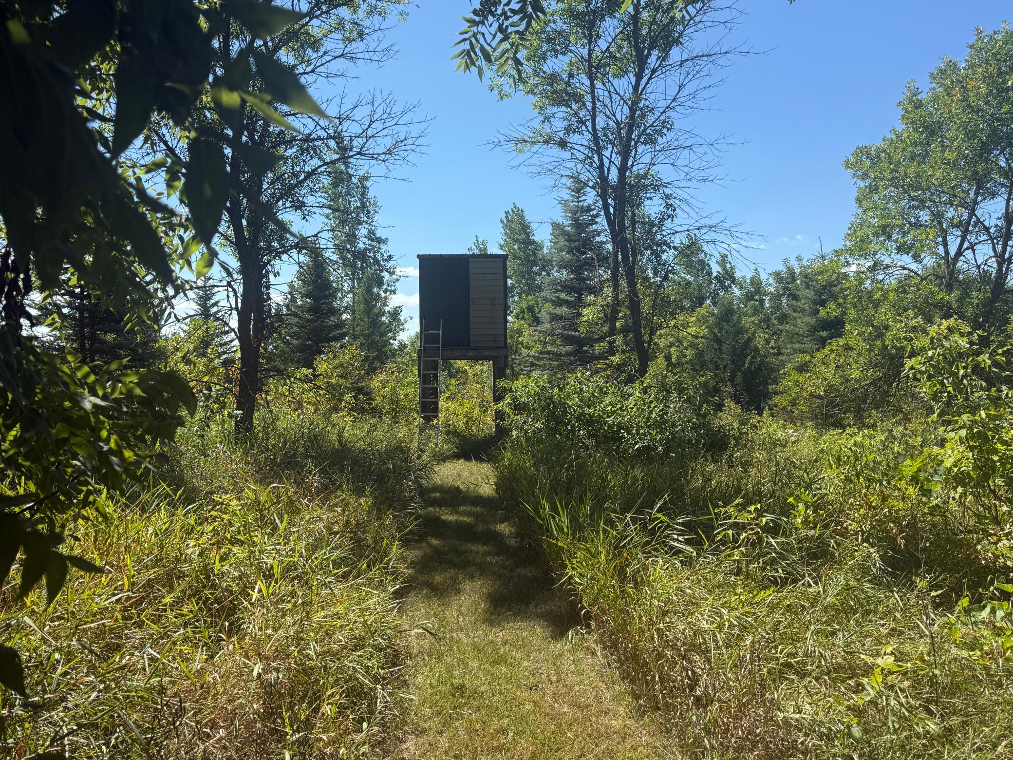 20260827_175349230_iOS.jpg