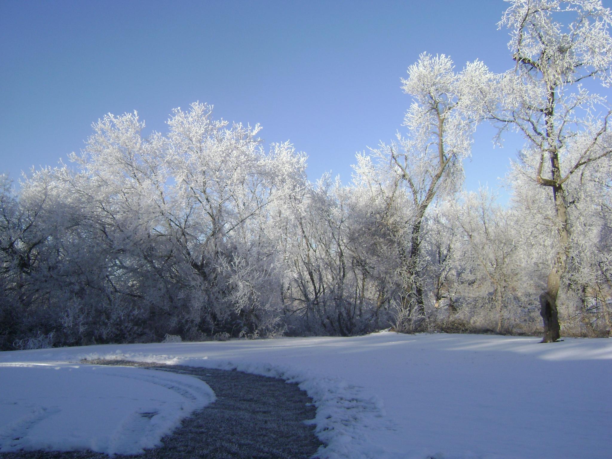 frost.jpg