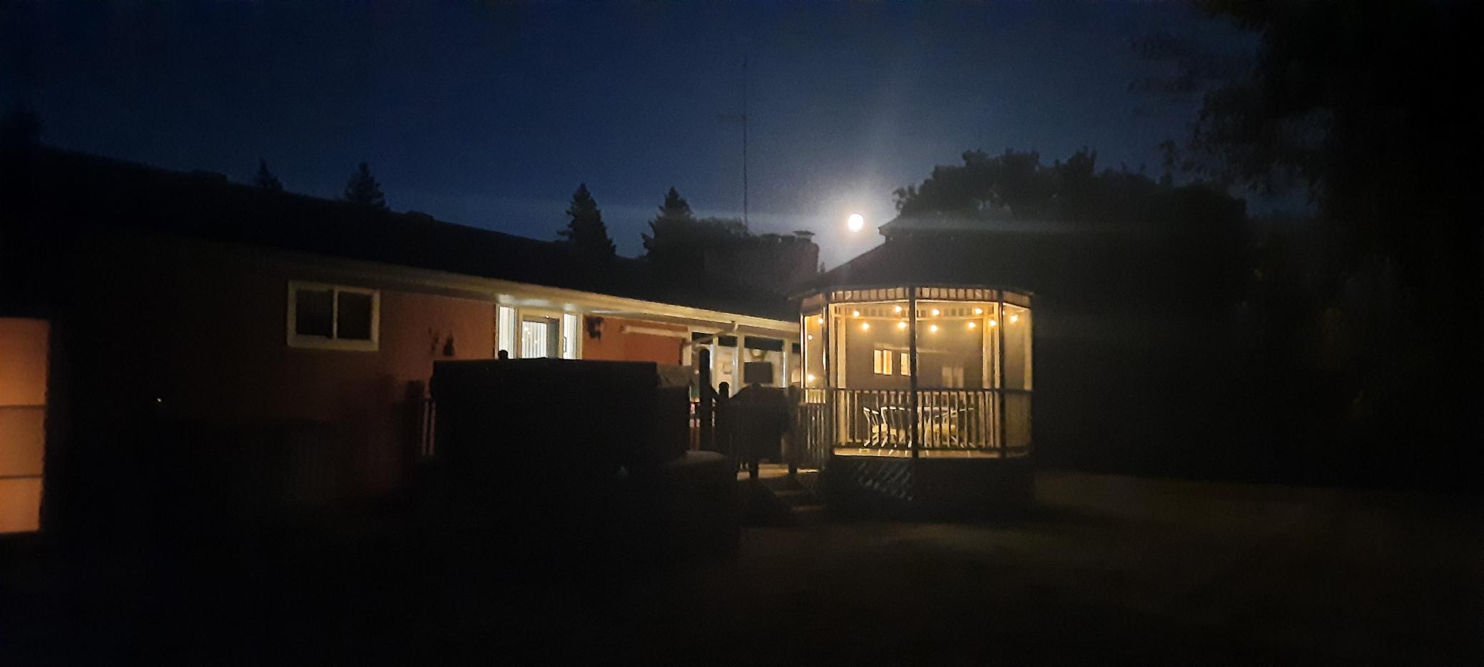 n1.jpg