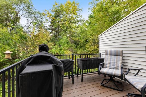 The deck overlooks the trees and feels private and secluded.